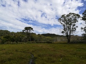 Parque Nacional de Santa Teresa